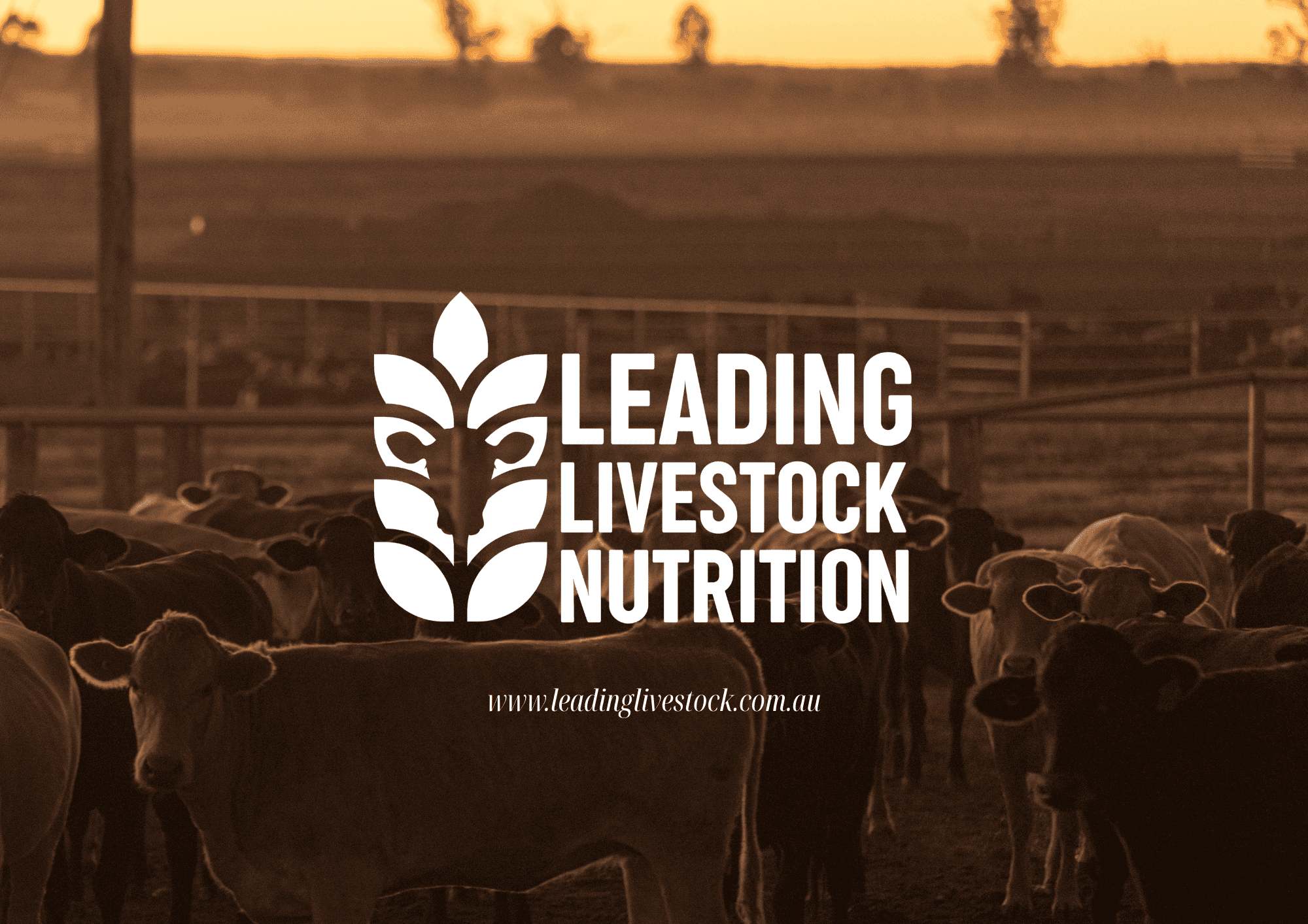 Leading Livestock Nutrition, Feedlot  consulting nutritionist.