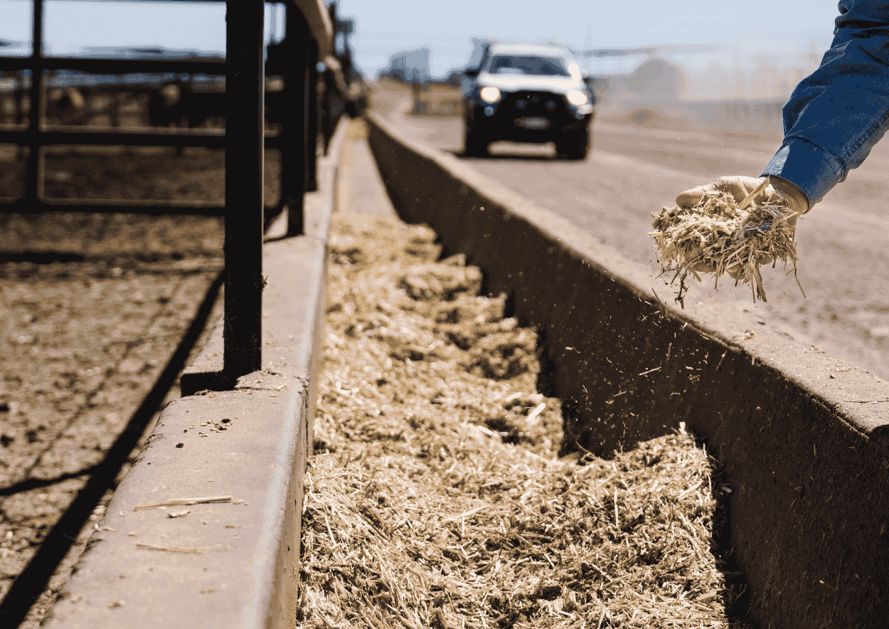 A person wearing gloves and a blue jacket is throwing straw or hay into a roadside ditch, with a car driving on the road in the background.