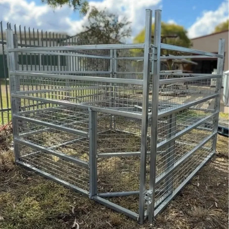 Pig Trap
