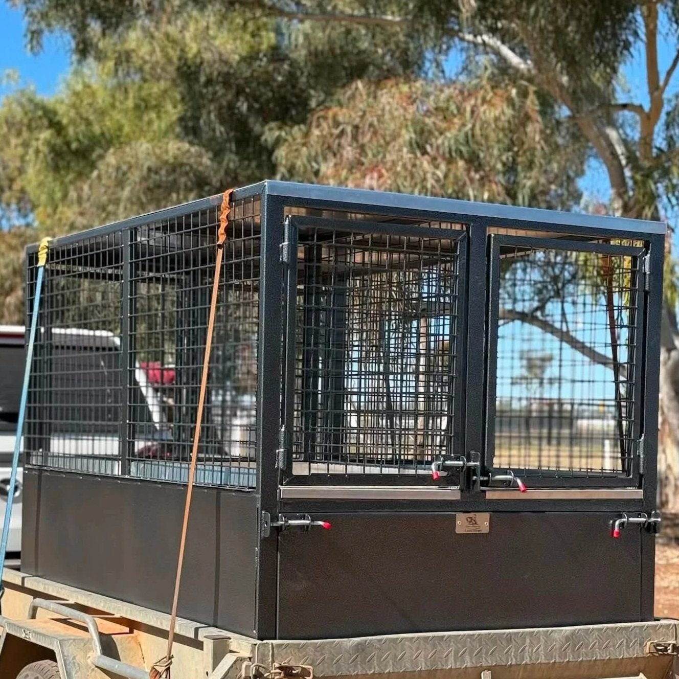 Custom Dog Box - Tool Box