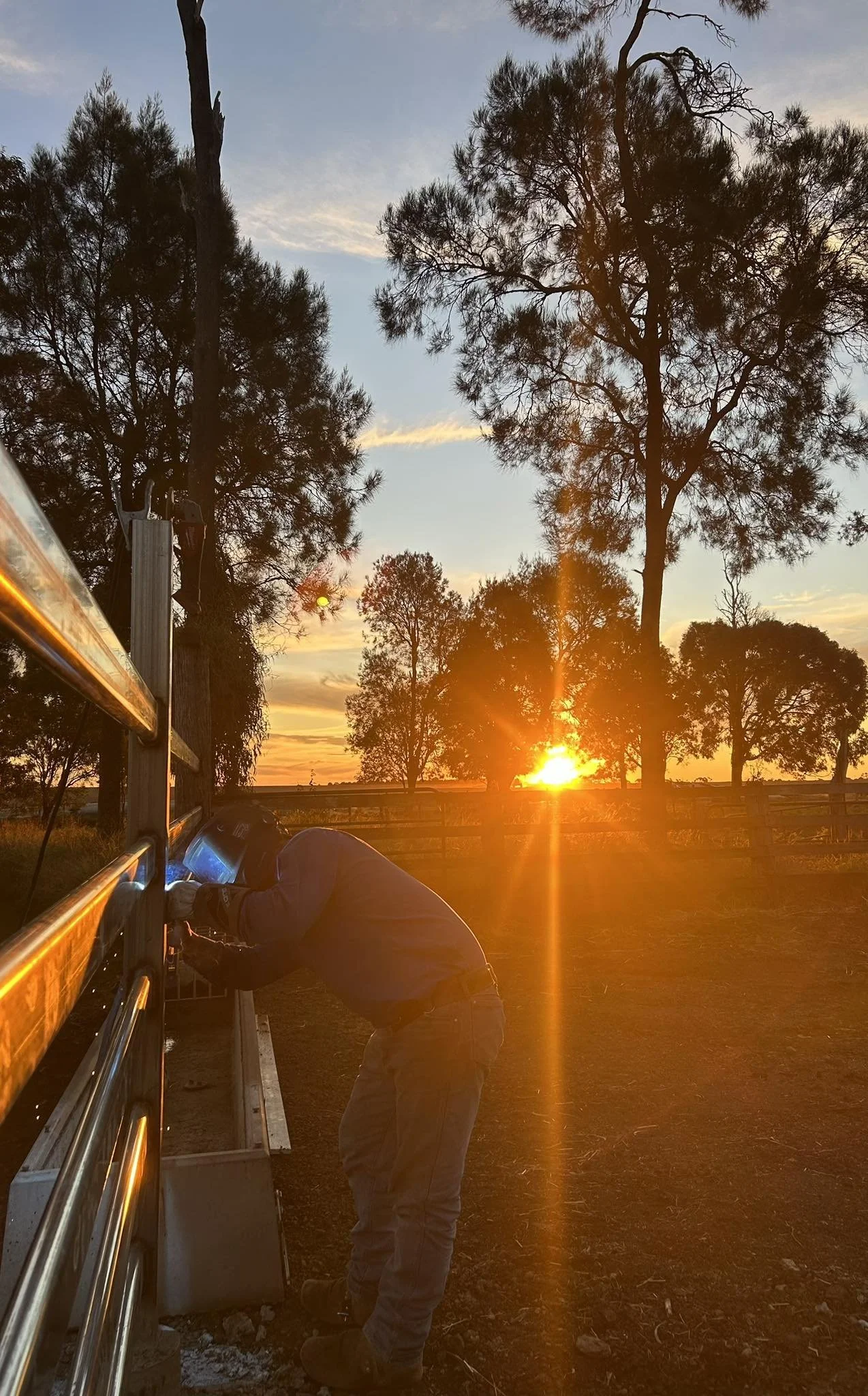 Livestock Yard Building