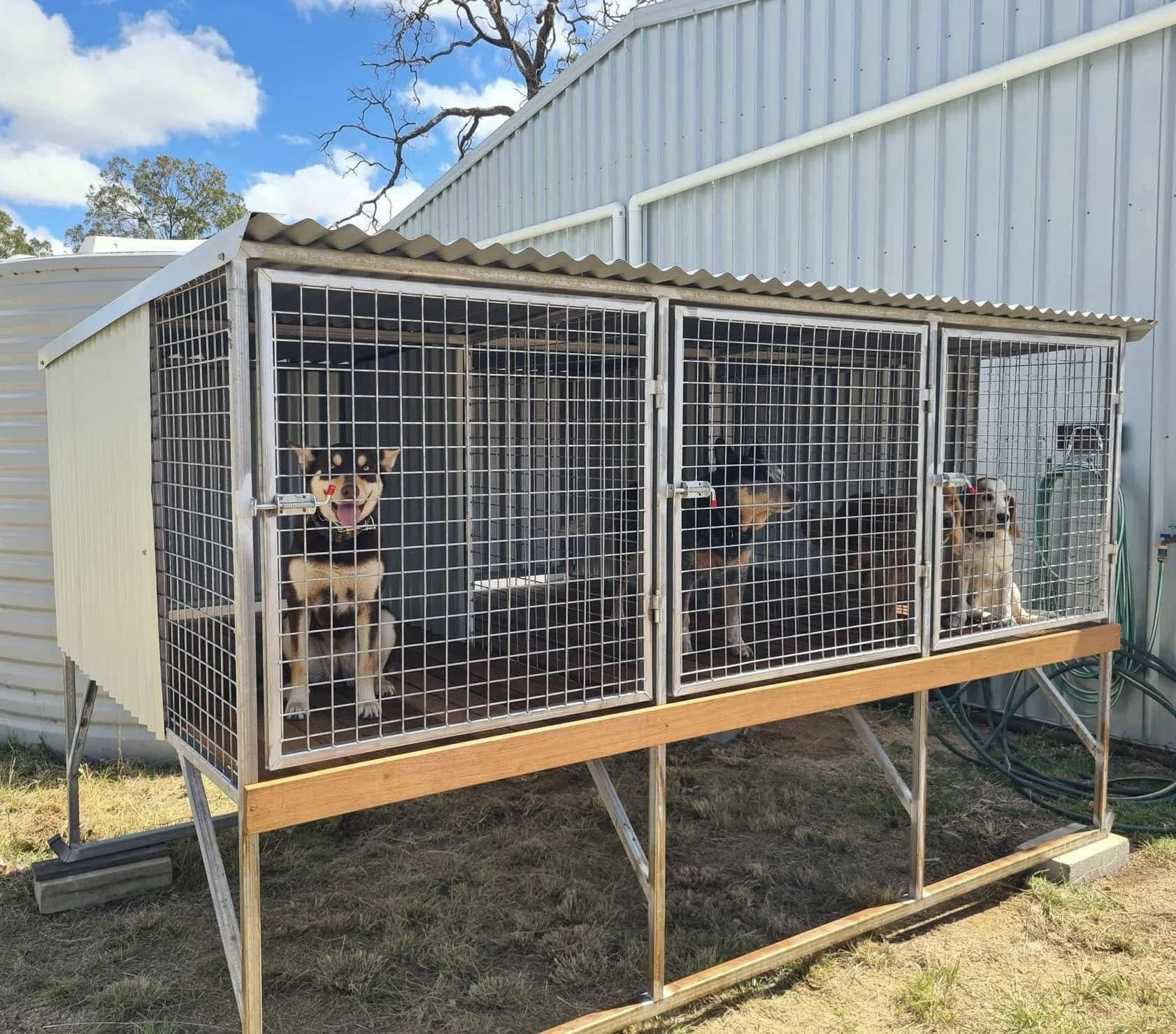 Three Bay Dog Kennel