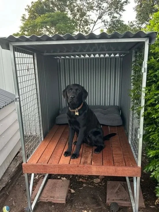 Single Bay Dog Kennel