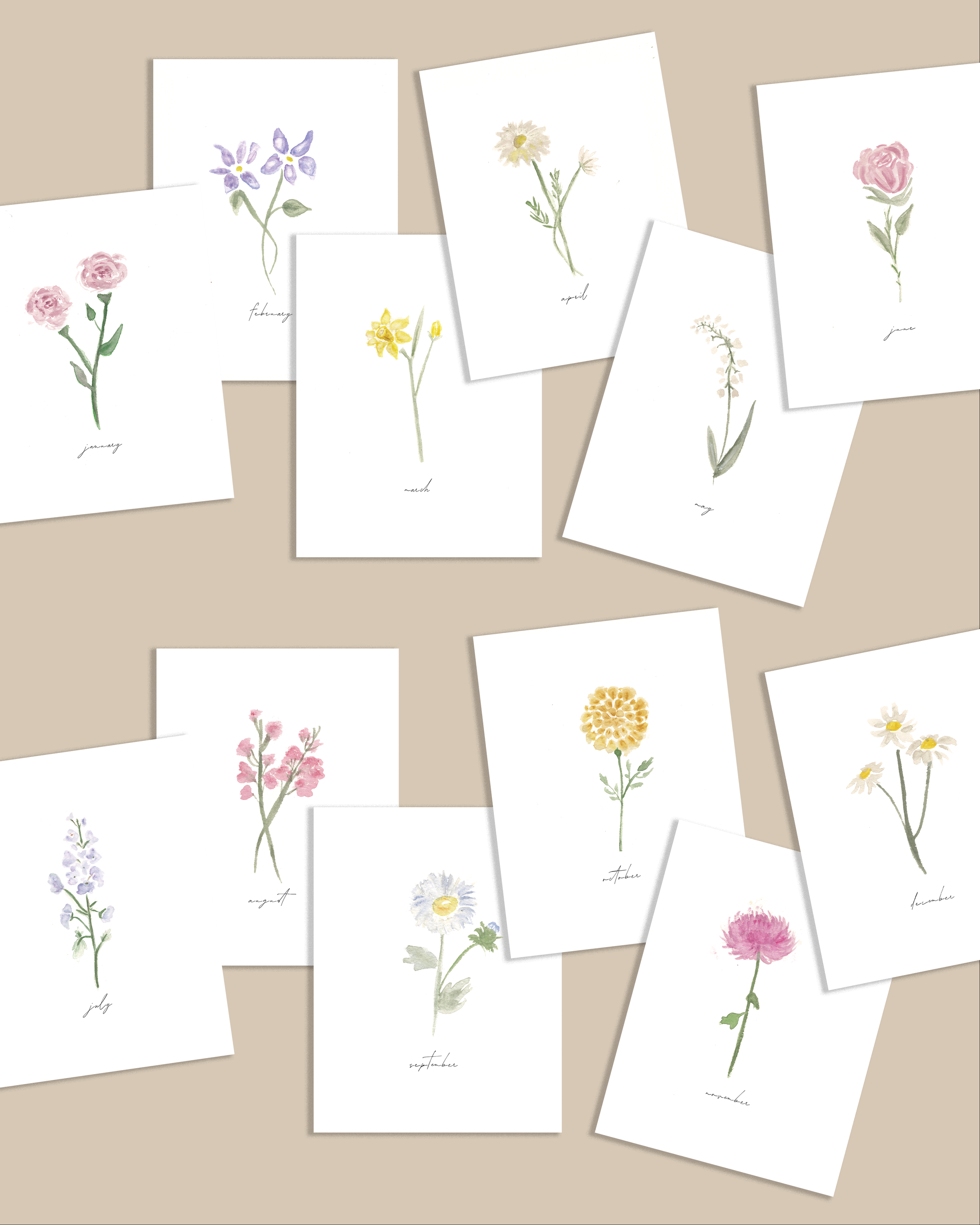 Flowers of the Months (12 Pack of cards with envelopes)