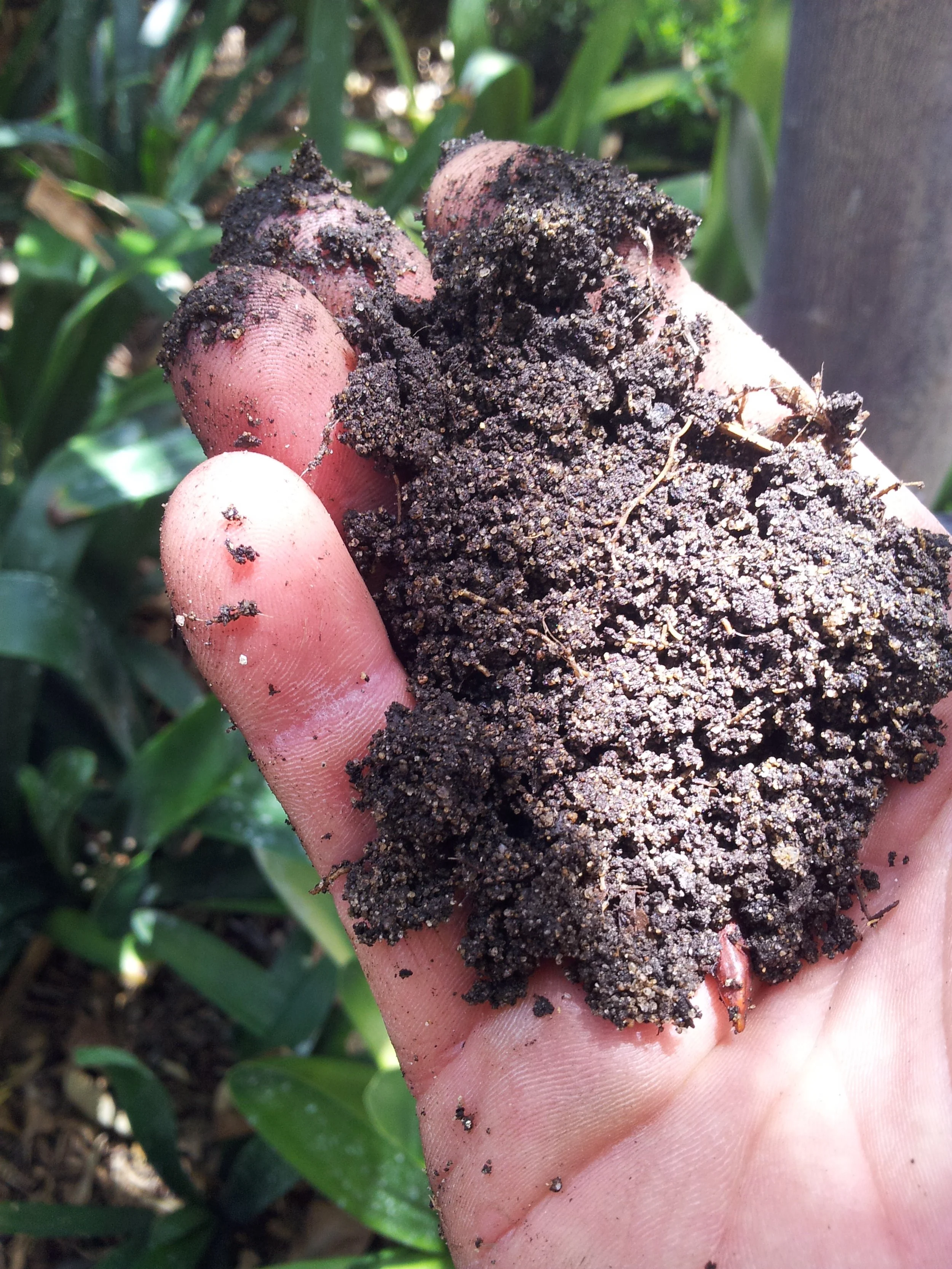 The Humble Tree - Arboricultural Consultants - Perth WA