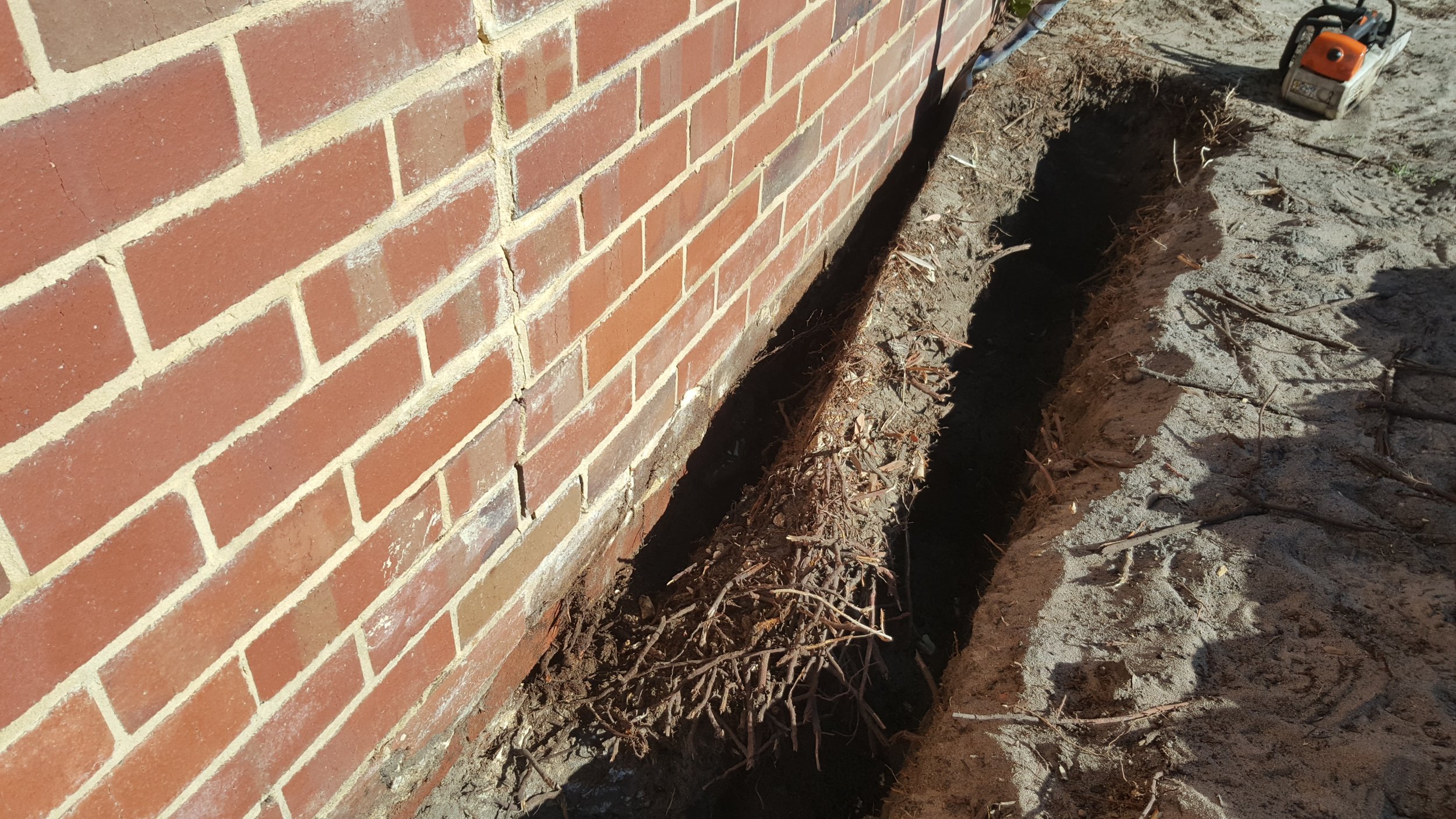 Tree Root Inspections