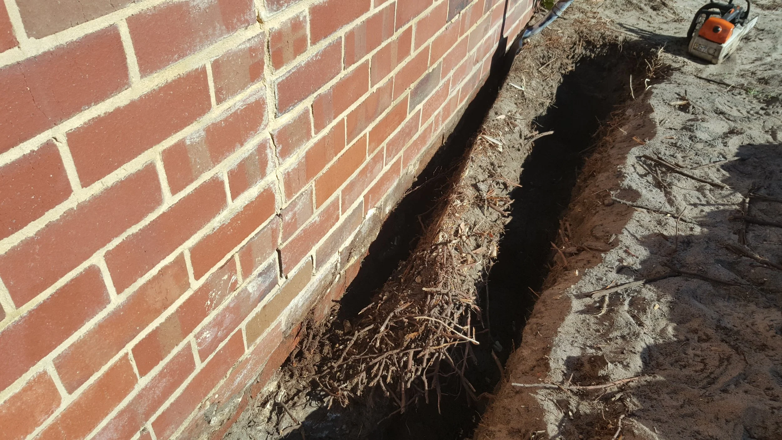 The Humble Tree - Arboricultural Consultants - Perth WA