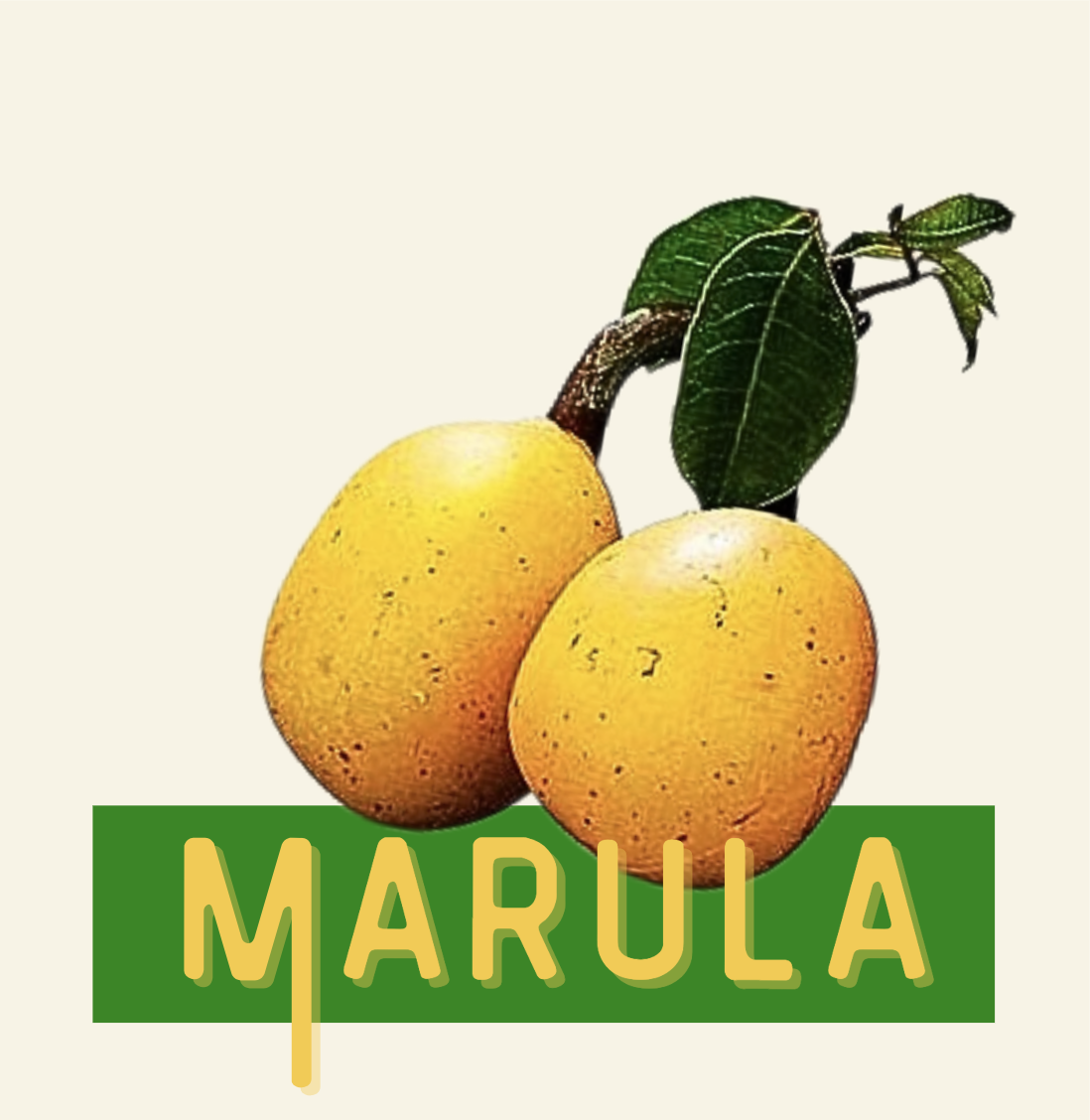 Screenshot 2023-06-08 at 10.29.47.png