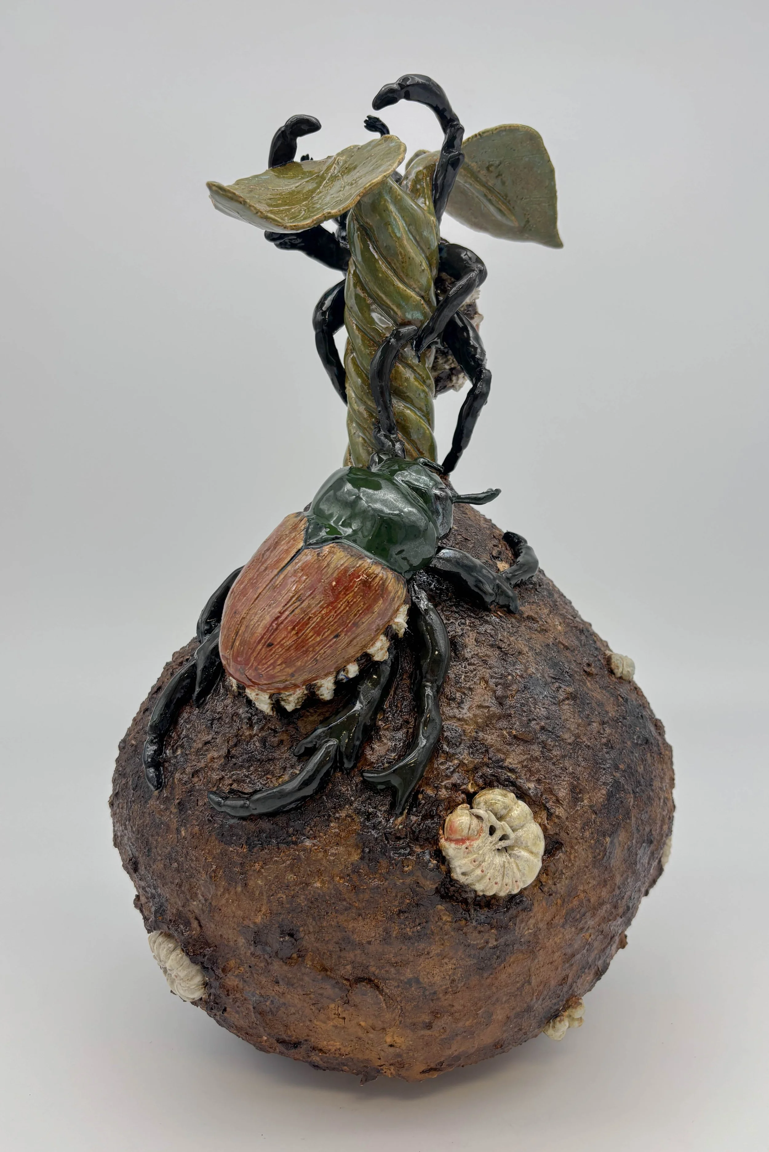 emerged japanese beetles.jpg