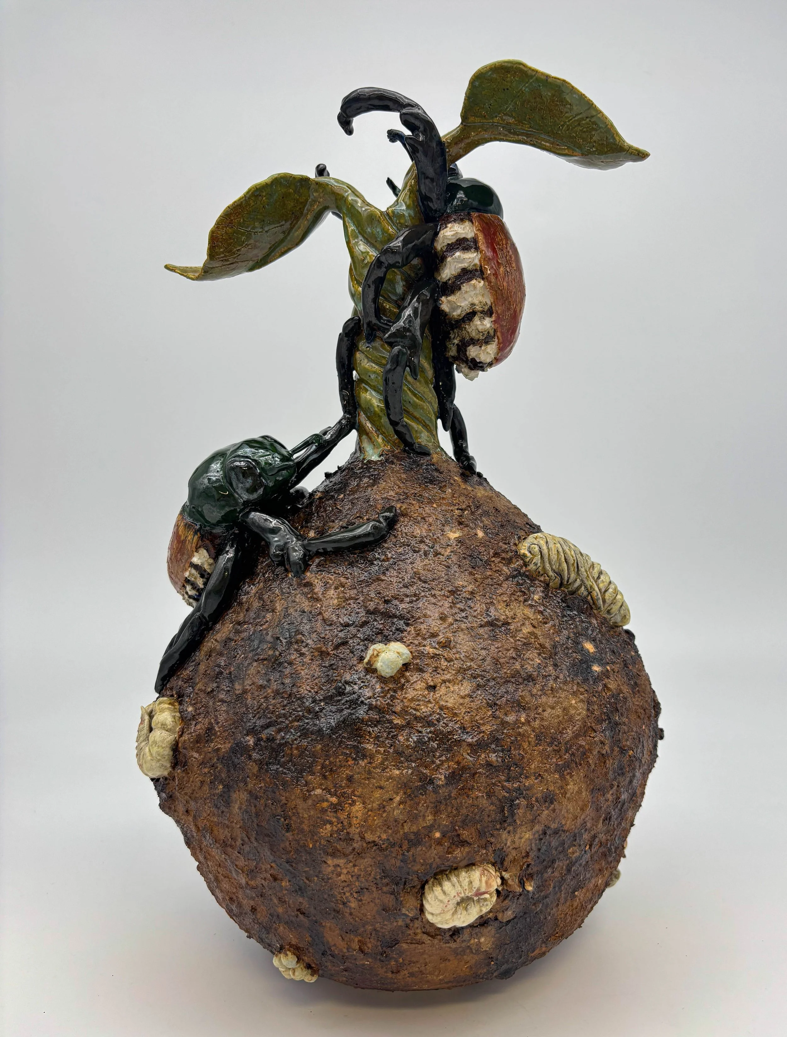 emerged japanese beetles2.jpg