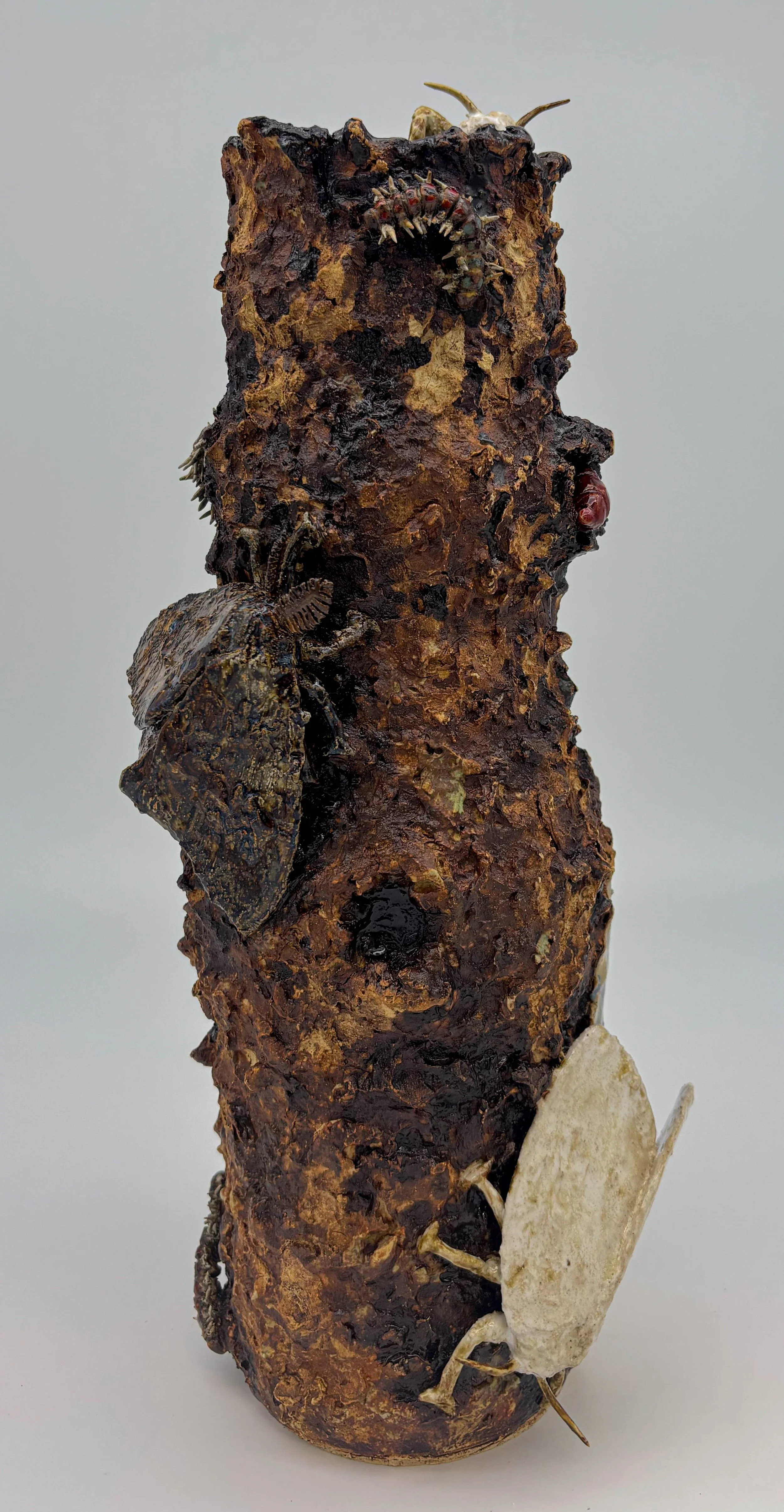 the spongy moth3.jpg