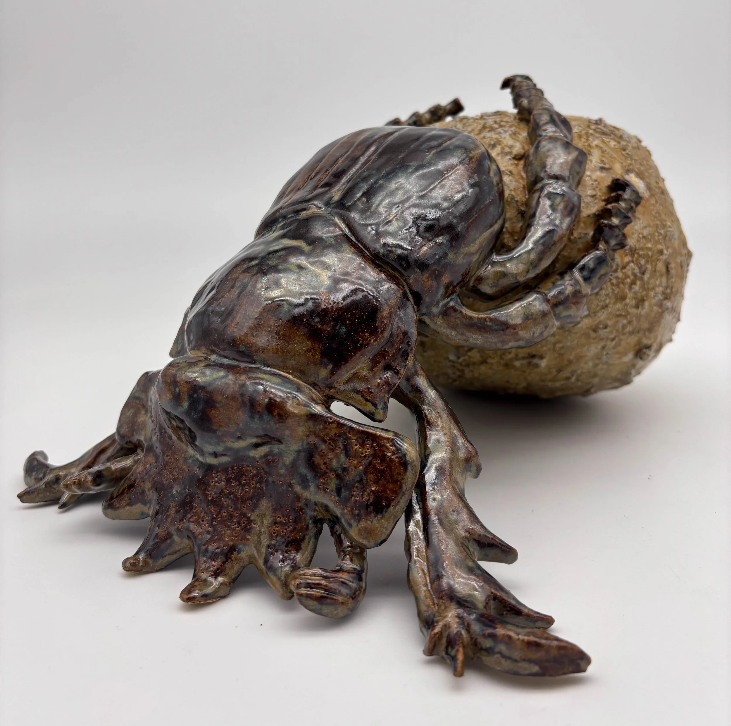 Dung Beetle