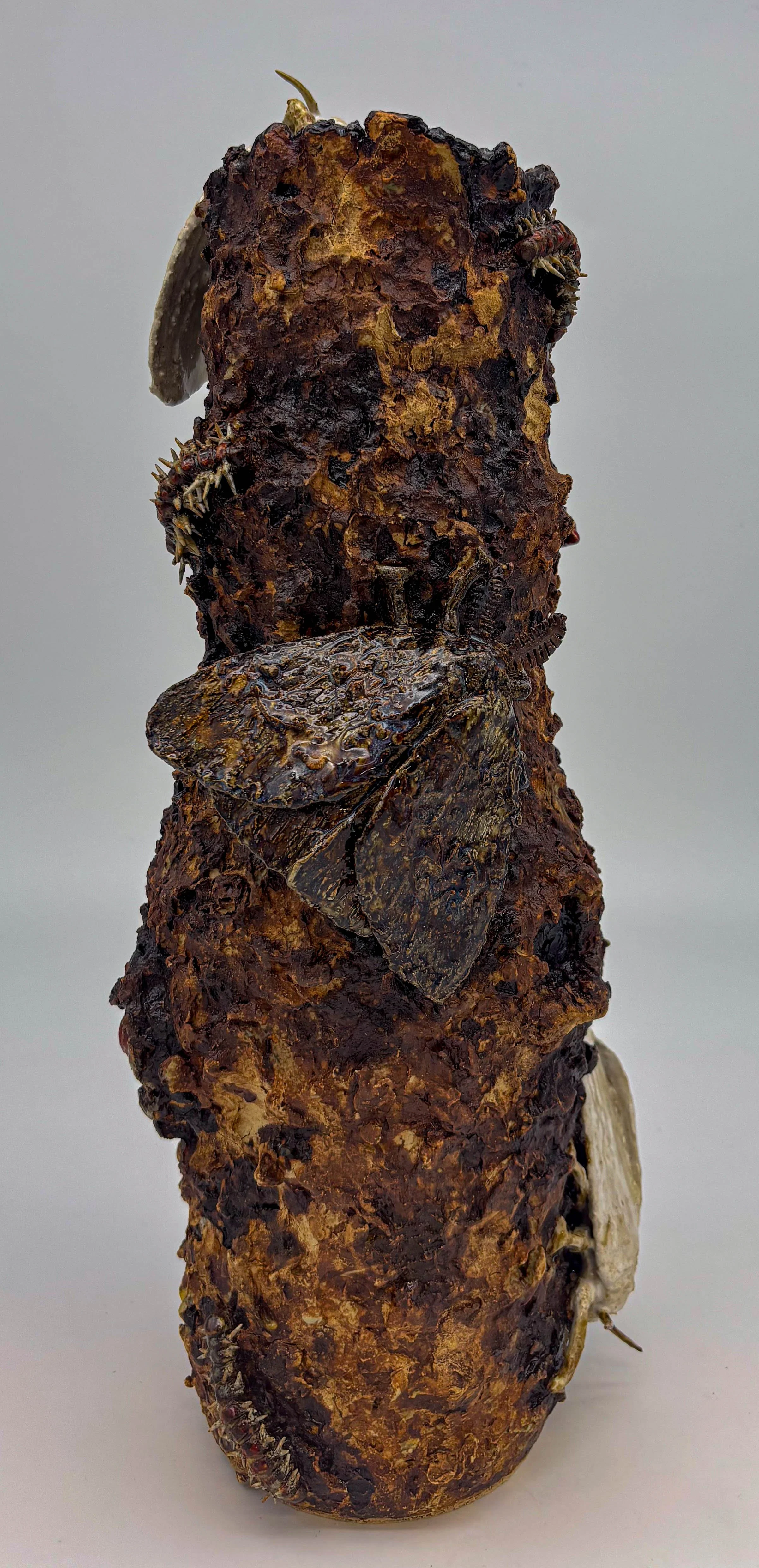 the spongy moth4.jpg