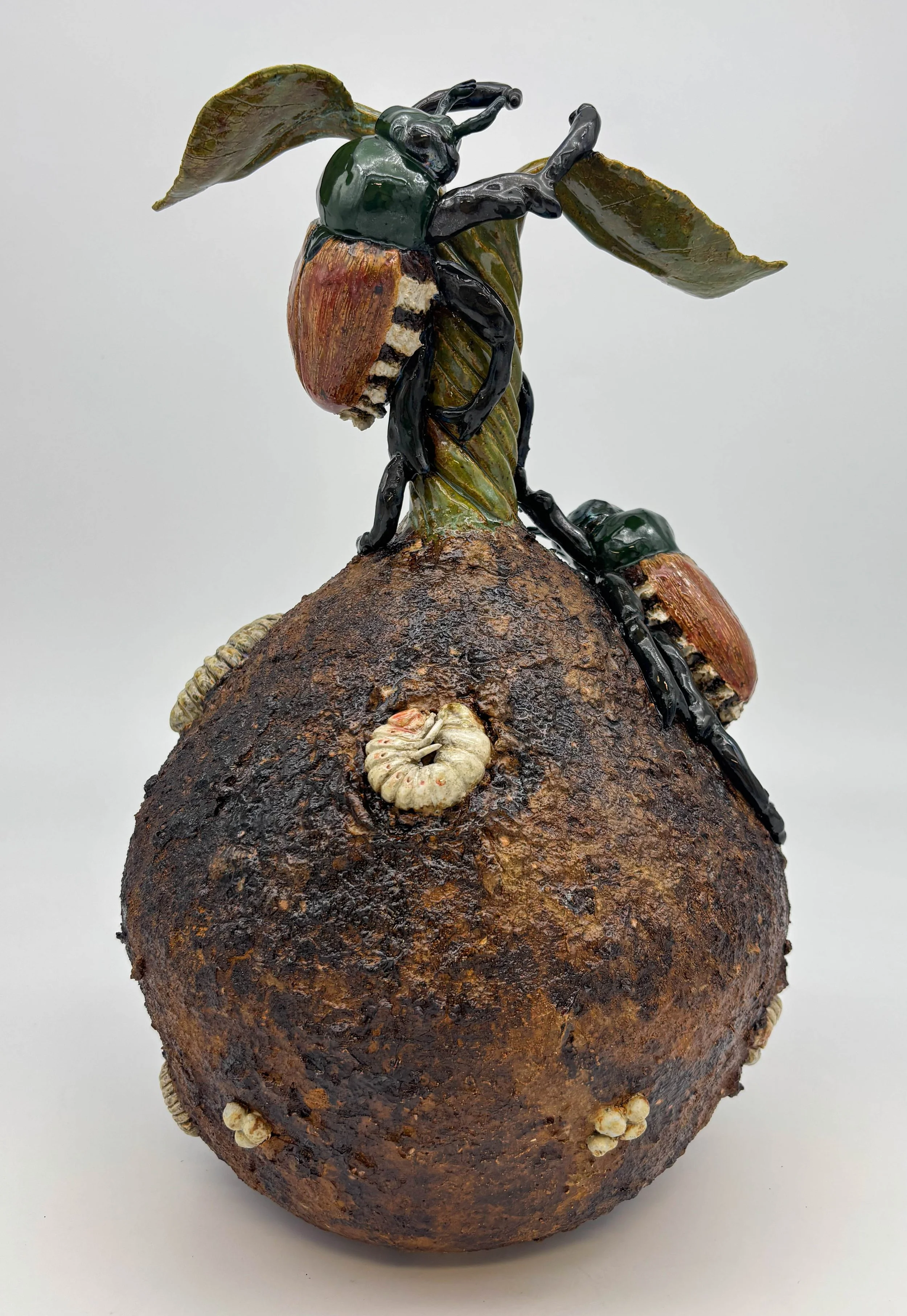 Emerged Japanese Beetles