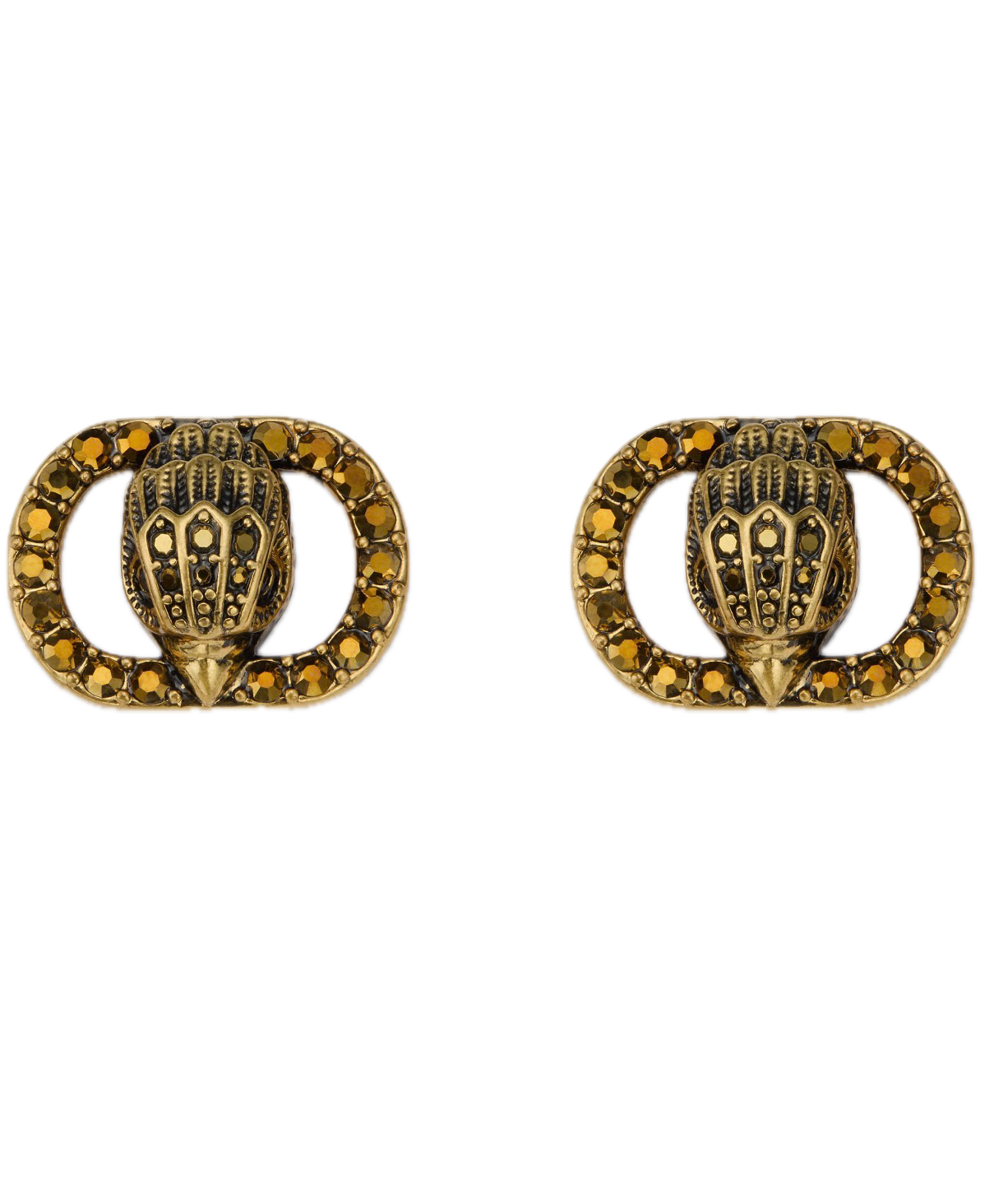 IMG_0092 Background Removed.png