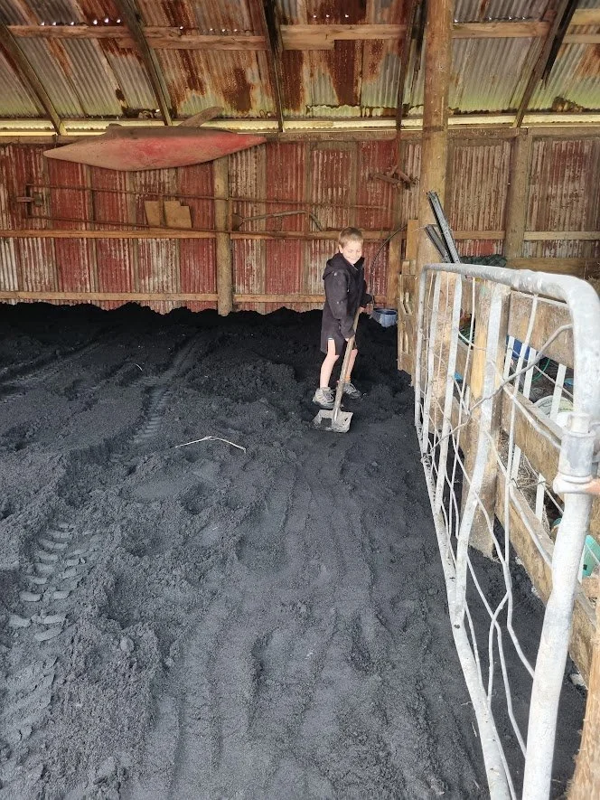 CharGuard - Animal Bedding Support