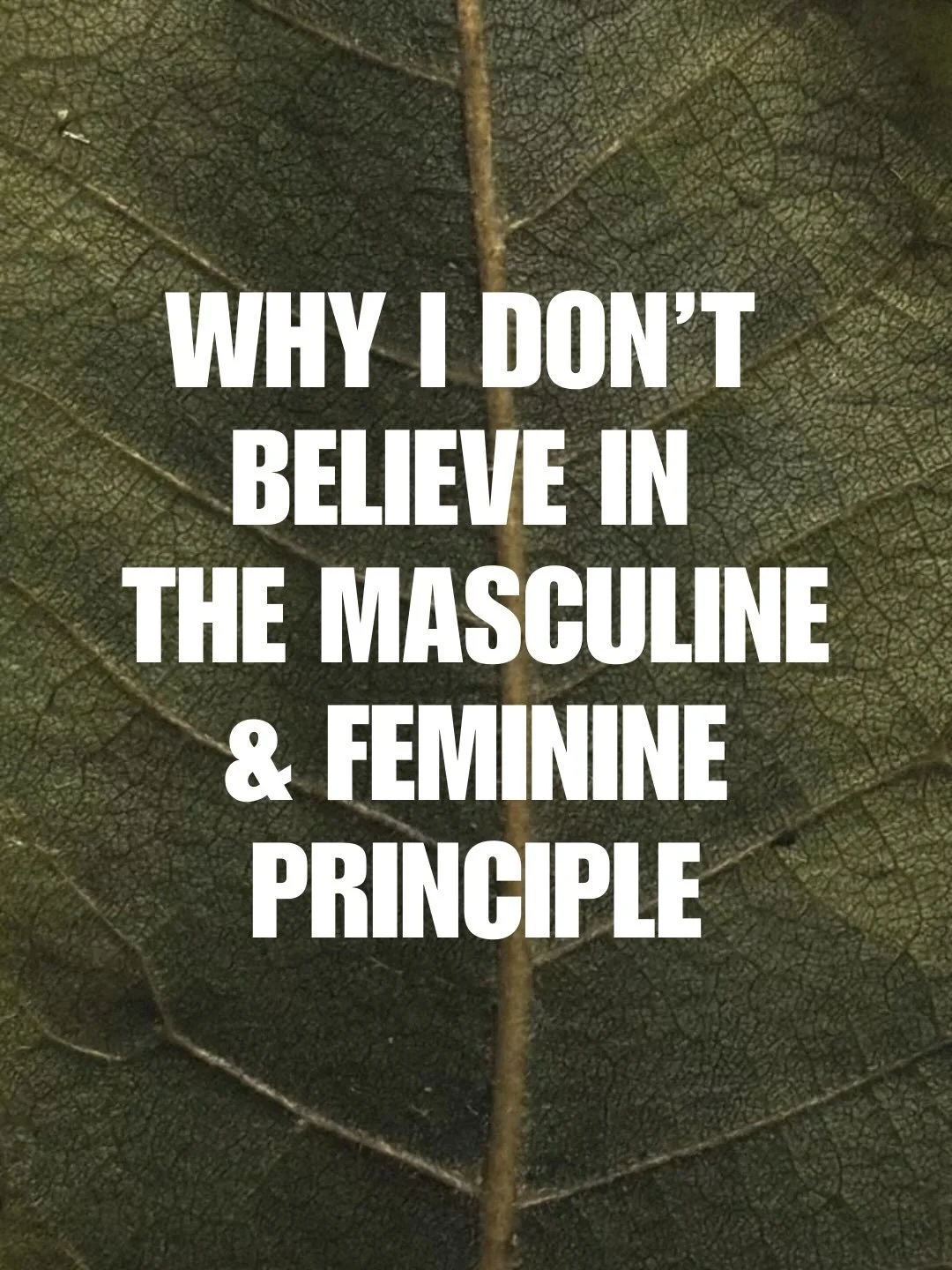 Hi all,

I&rsquo;m curious what you think😊