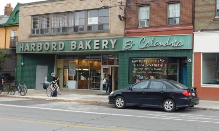 “A Stroll Down Harbord Street Where Village Charm Meets Urban Pulse”