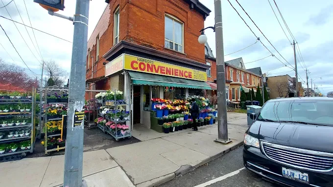 Harbord Convenience