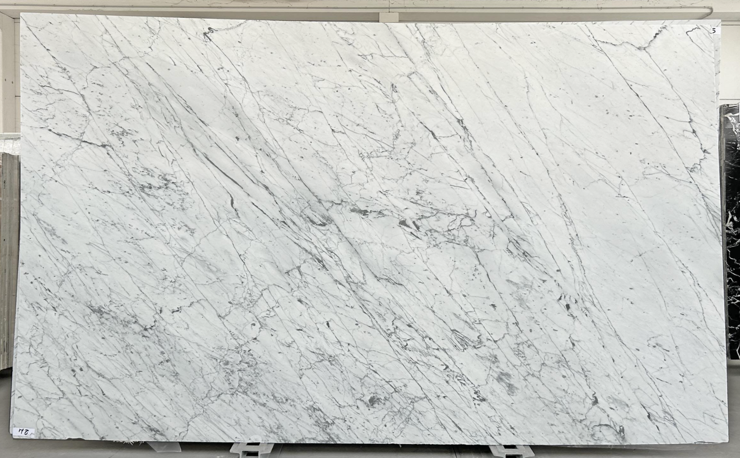 Bagnara Marble Bianco Carrara Gioia marble slab, honed finish