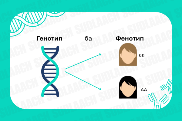 Фенотип ба Генотипийн ялгаа
