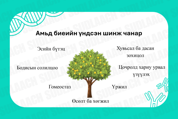 Амьд биеийн үндсэн шинж чанар