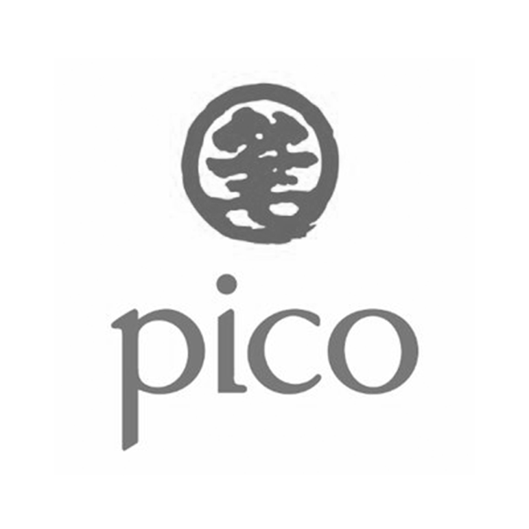 logo_pico.png