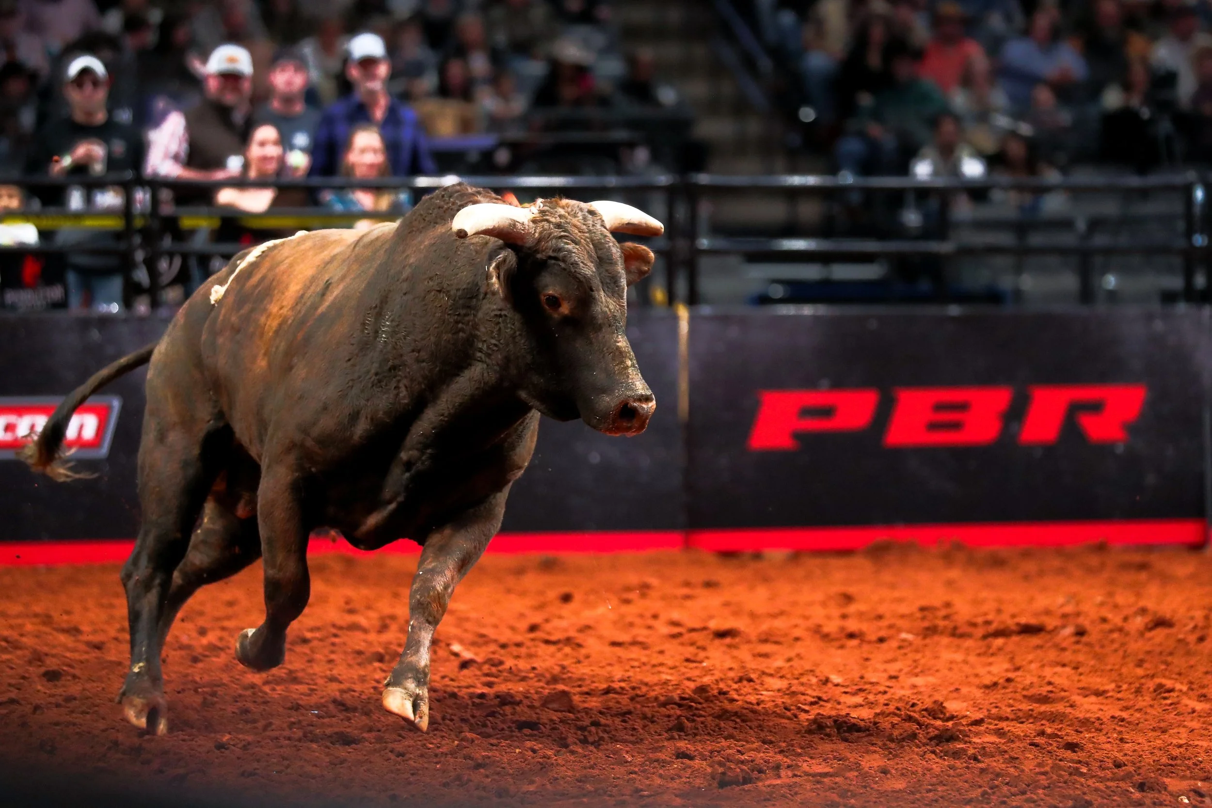 250104_Professional Bullriding__PBR Pendleton Whisky Velocity Tour_JVS1123.jpg