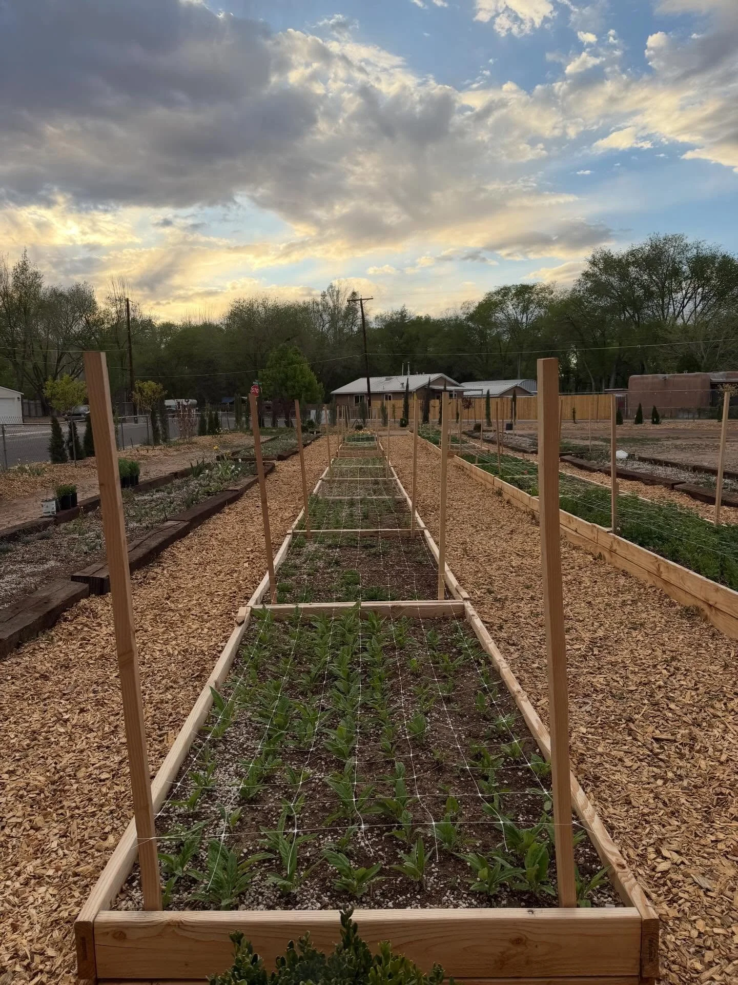 All of the hard work feels worth it when this is the view at the end of the day.