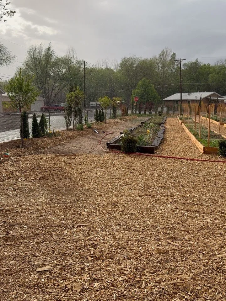 This made me so happy I almost cried 🌧️. Remember to stop by the farm for a fresh bouquet Saturday morning!