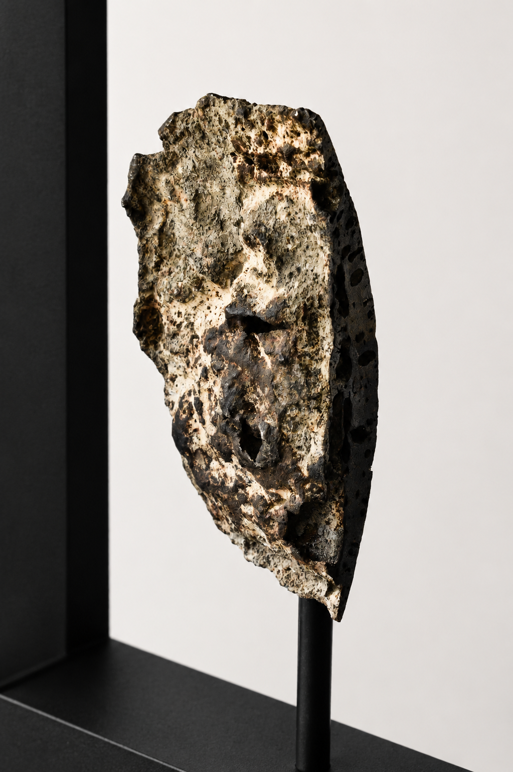 A textured, fossilized human face sculpture mounted on a black stand, displayed against a plain background.