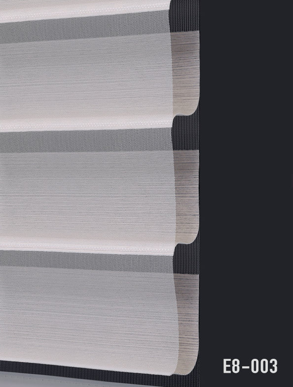 E8-003.png