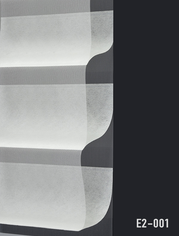 E2-001.png