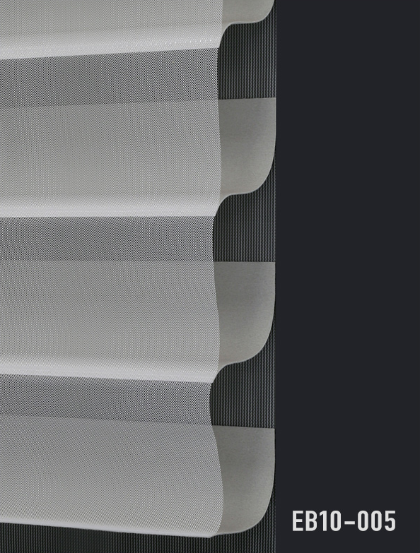 EB10-005.png