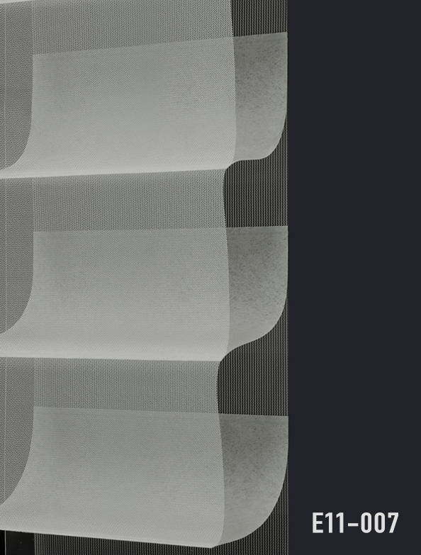 E11-007.png