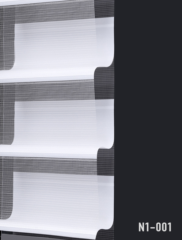 N1-001.png
