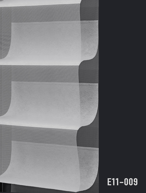 E11-009.png