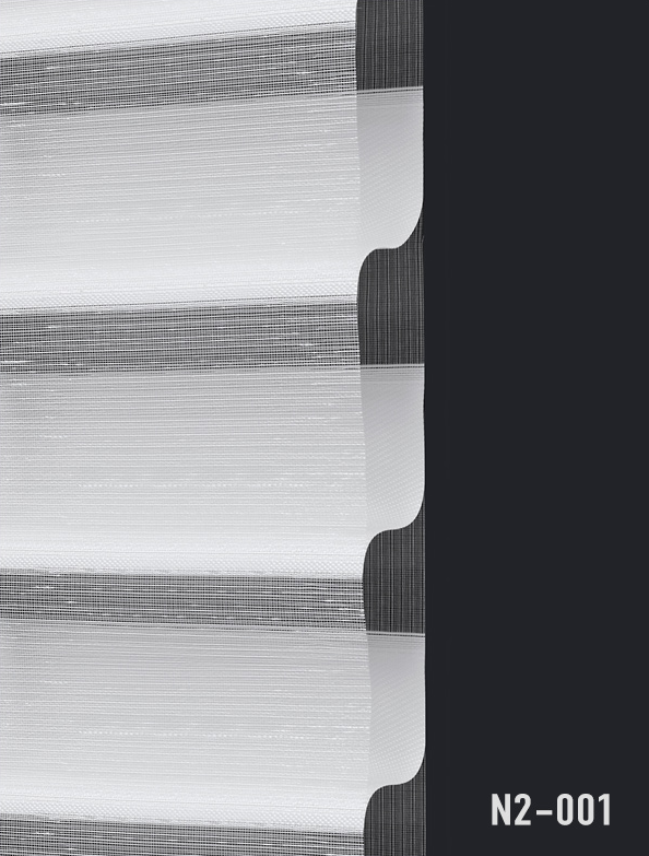 N2-001.png
