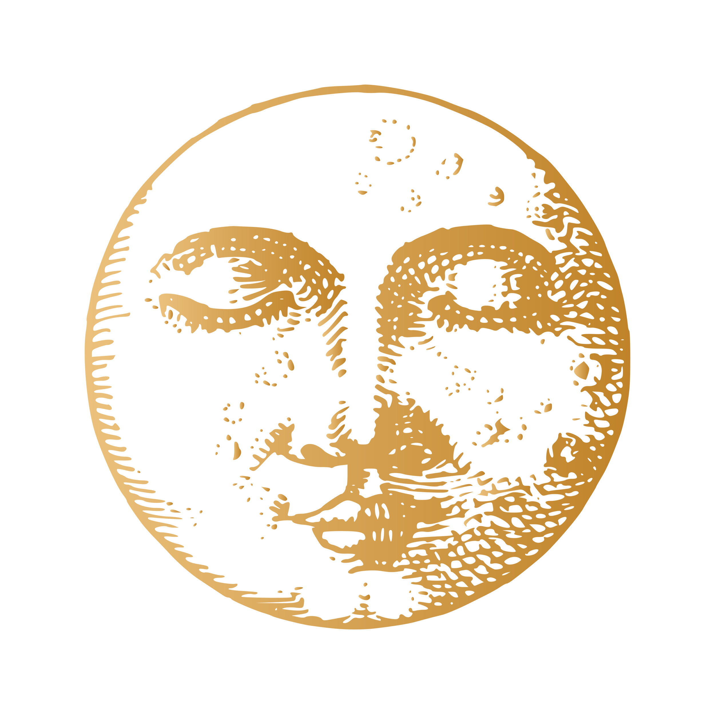 A gold-colored coin with a Bitcoin symbol at its center, featuring various digital symbols and patterns.