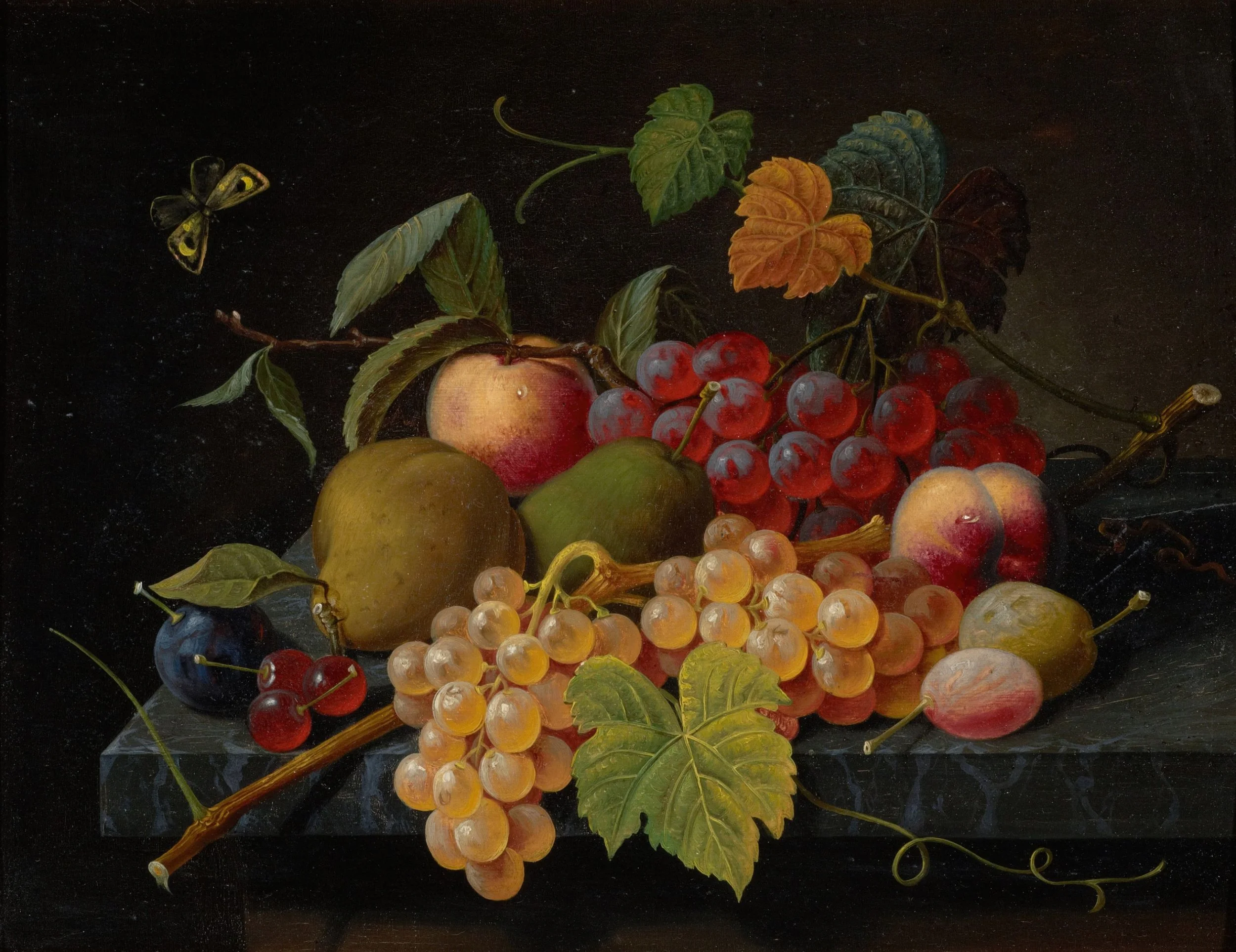 A still life painting of assorted fruits including grapes, apples, pears, a cherry, and a plum, with leaves and a butterfly on a black background.