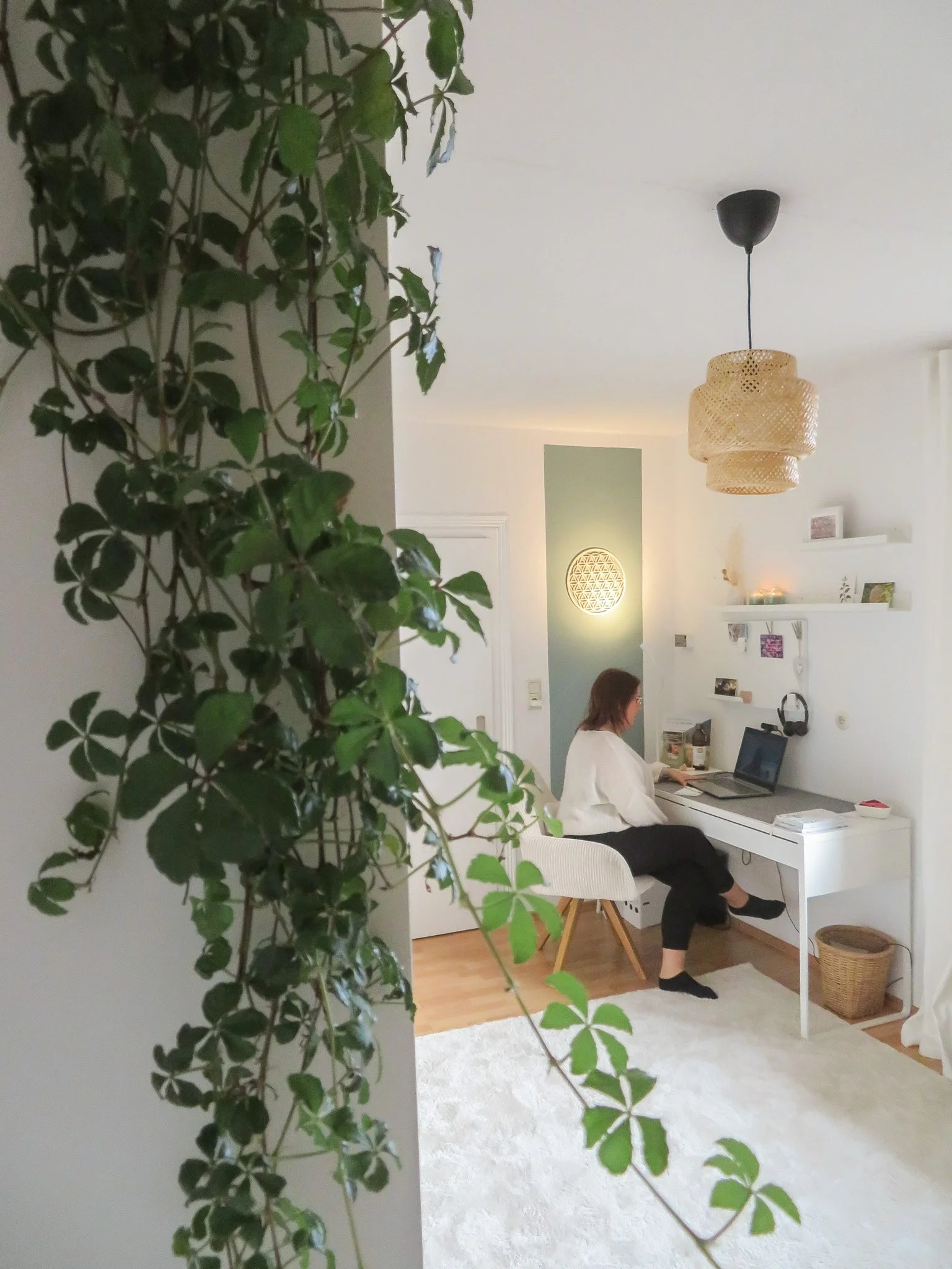 Sandra Brandebusemeyer arbeitet an einem Schreibtisch in einem hell erleuchteten Zimmer, umgeben von weißen Wänden und Dekorationen, mit einem großen Grünpflanzen im Vordergrund.