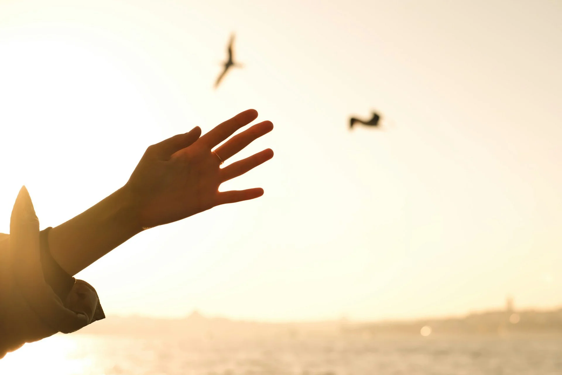 Nahaufnahme einer Hand, die im Sonnenlicht in Richtung Himmel zeigt, mit zwei Vögeln im Hintergrund, die fliegen, vor einer Meeres- und Sonnenuntergangslandschaft.