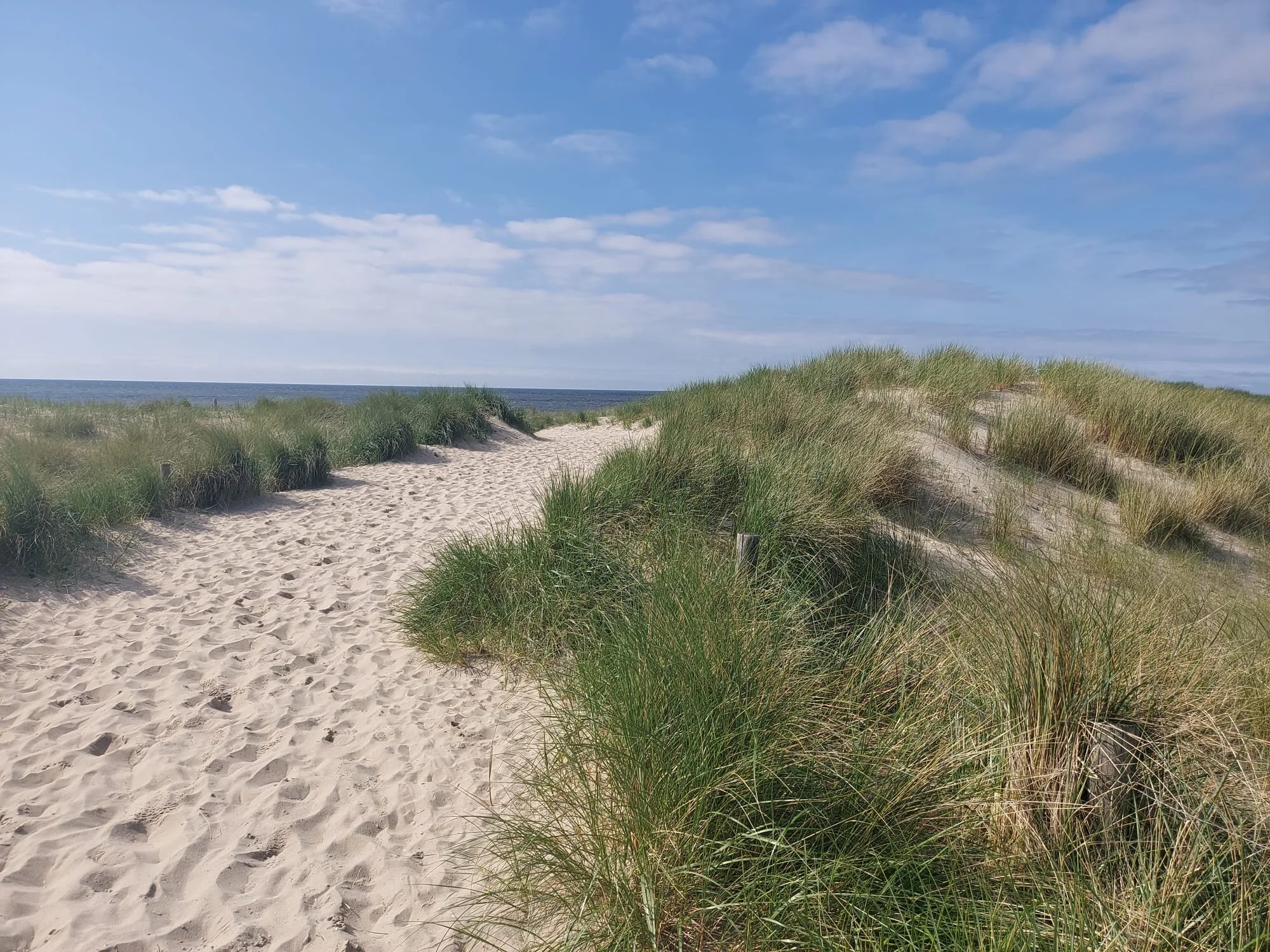 Sanddünen mit Gras an einem Strand, blauer Himmel mit Wolken, Blick aufs Meer.