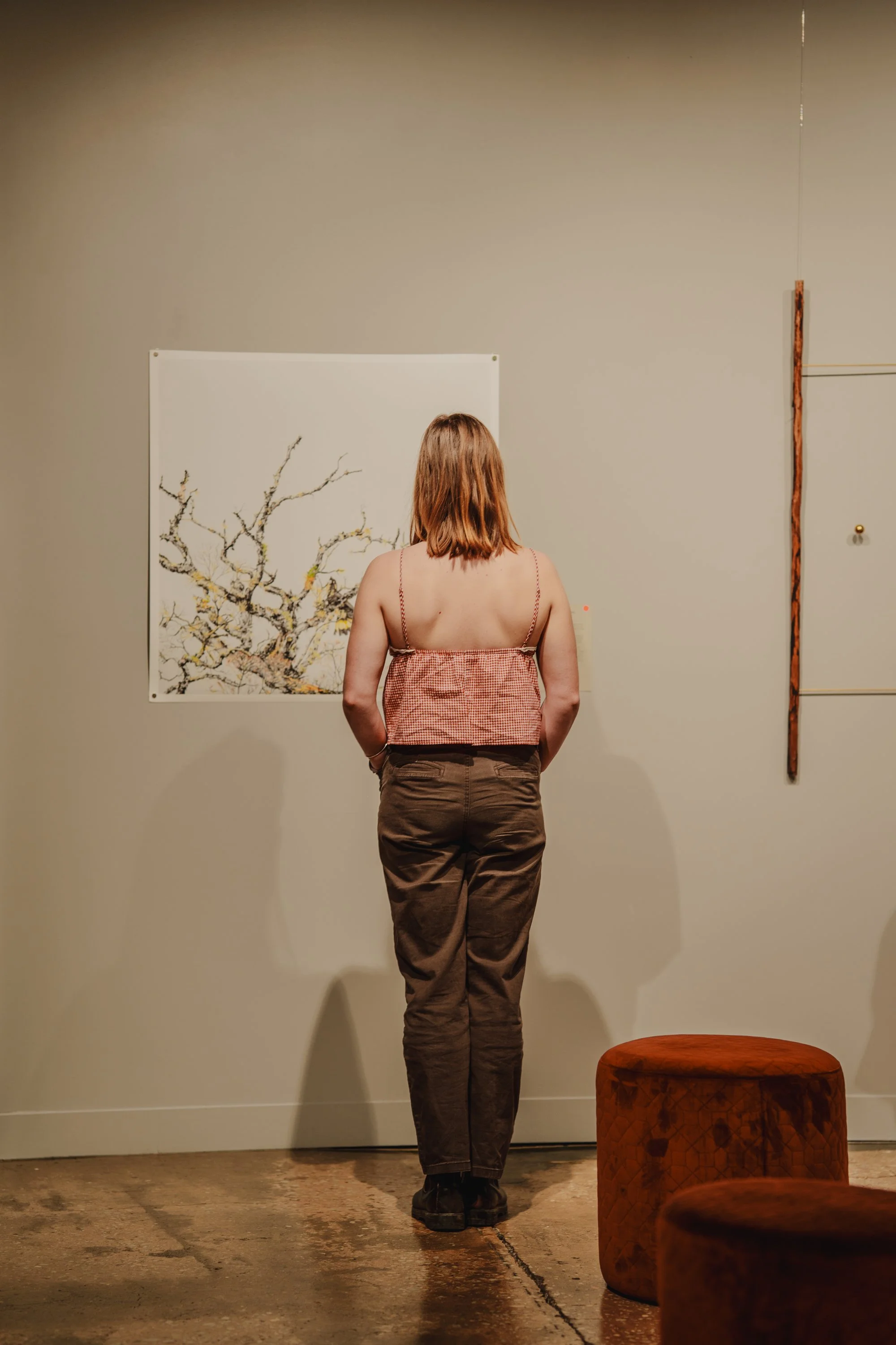 Immersive Light and Art | ILA