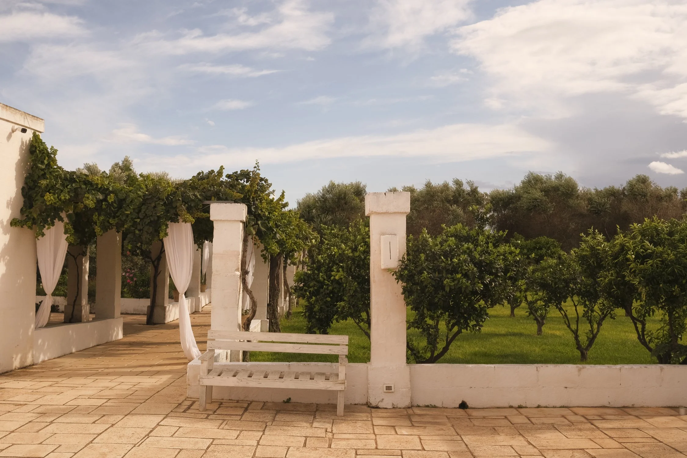 A patio with white benches and columns, covered with a grapevine pergola. Green bushes and trees in the background under a partly cloudy sky.