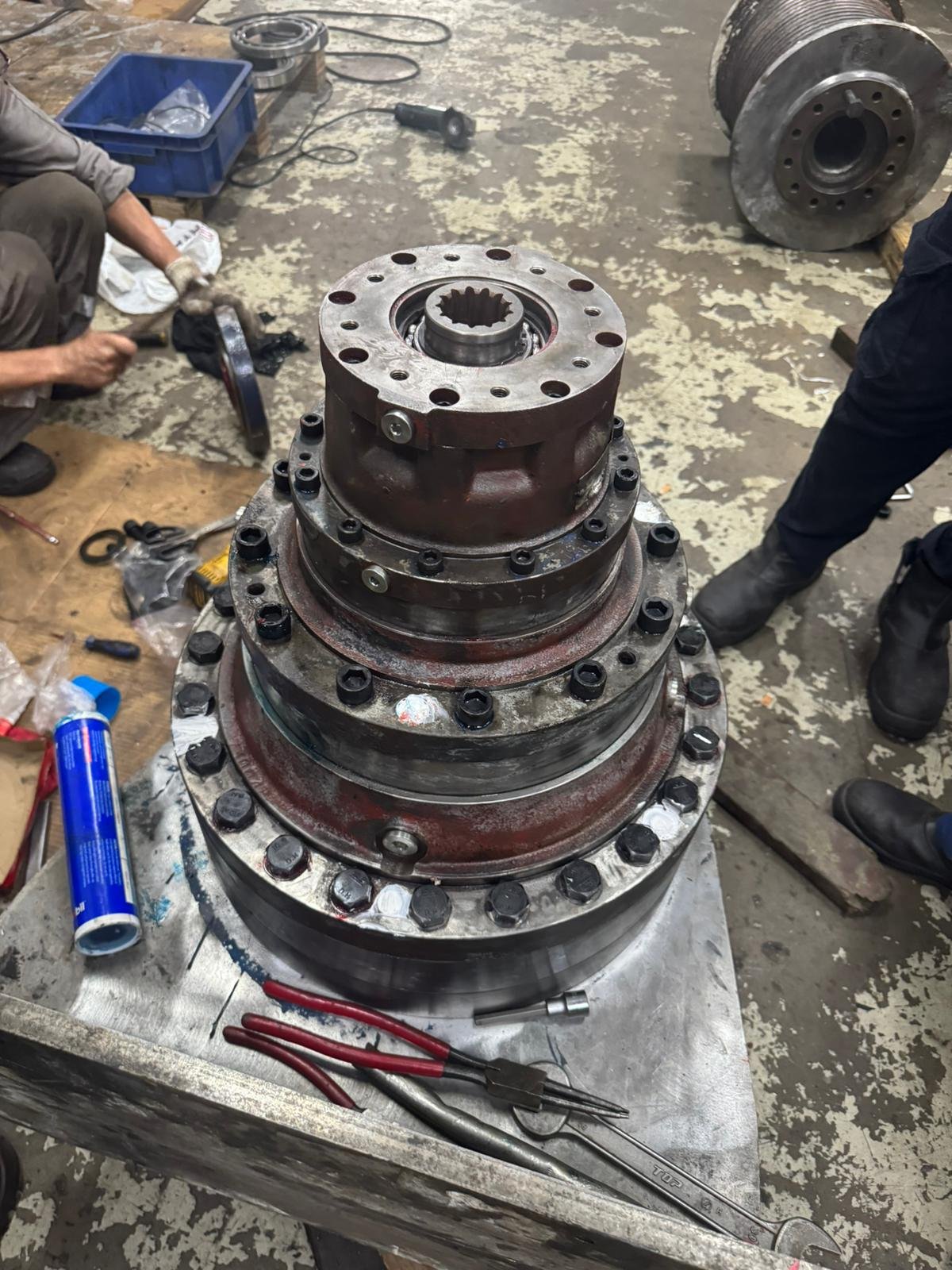 d818725f-1609-40da-b71a-20aff13410d3.jfif