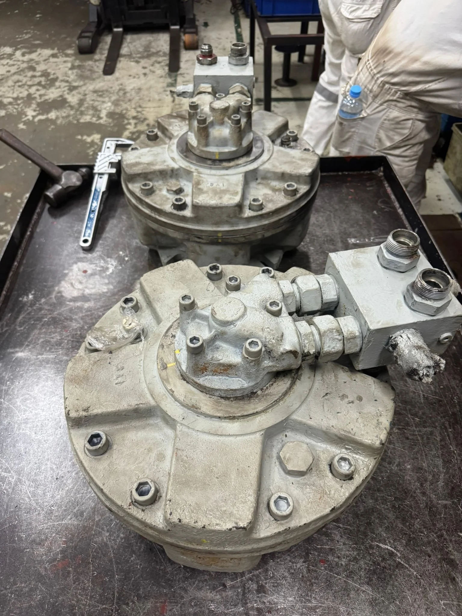 eda7c8b7-5094-4102-a123-fa3e33d1dac8.jfif