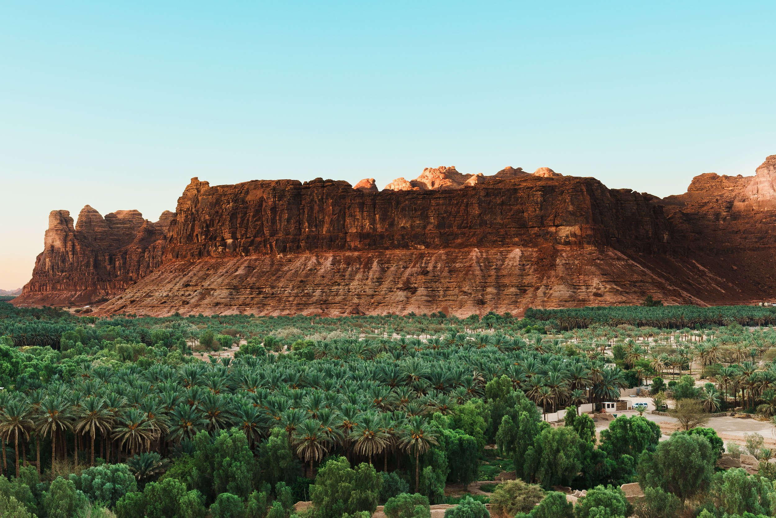 a photo of Al Ula mountains and palm trees.