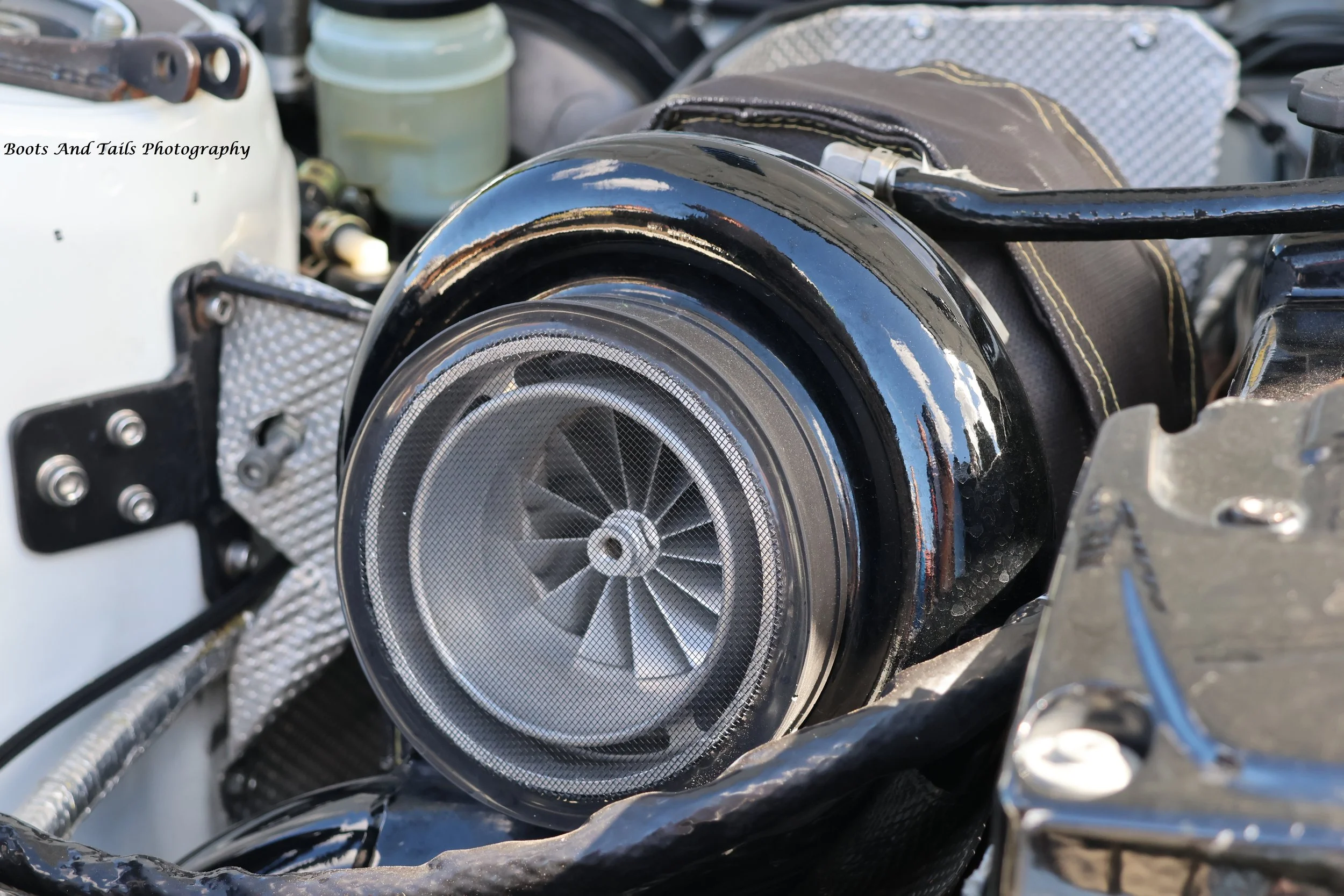 Turbo Closeup  Hi Res Shot