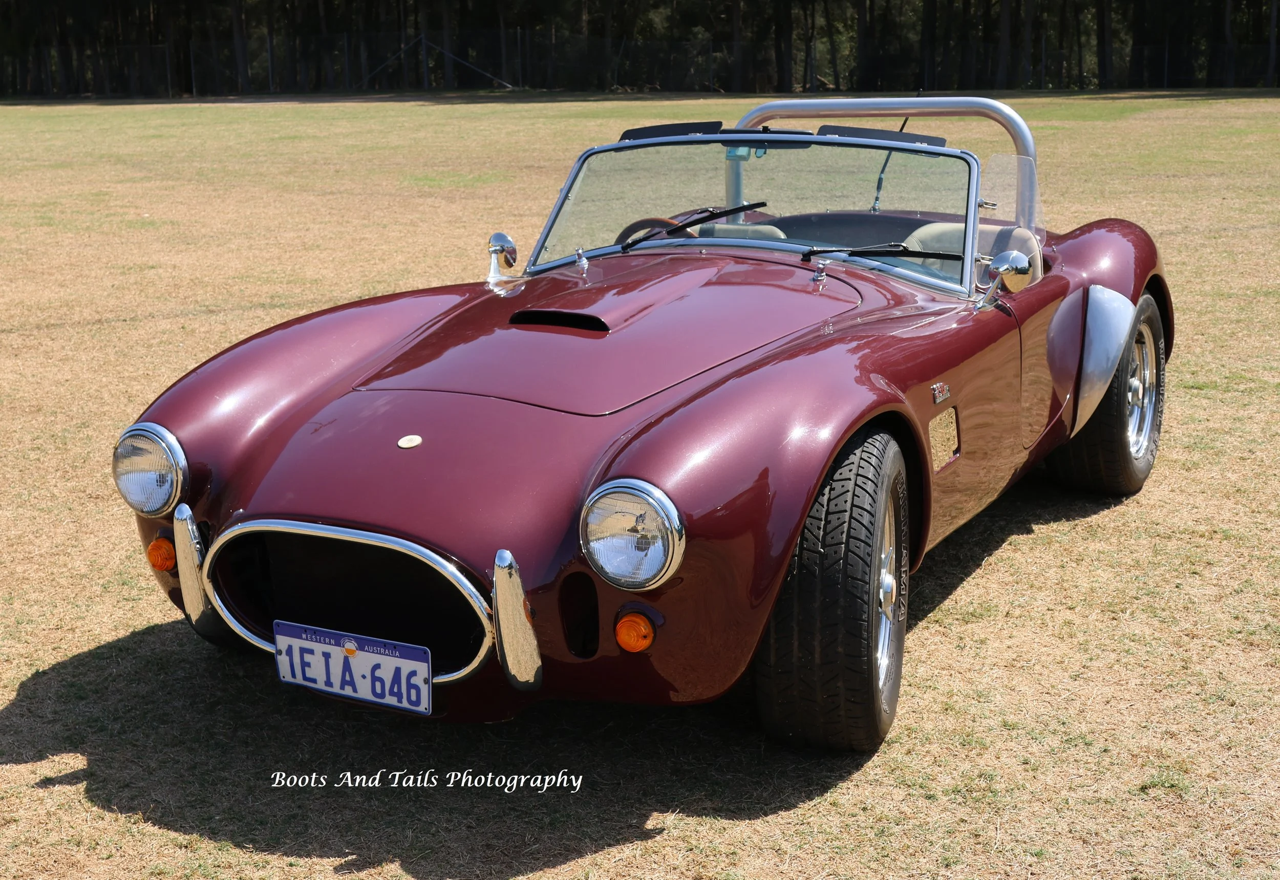 Ford AC Cobra  Hi Res Shot